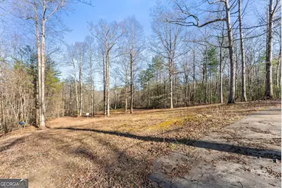 368 Harkins Road, Cleveland, GA 30528 - Photo 6