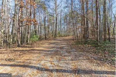 368 Harkins Road, Cleveland, GA 30528 - Photo 10