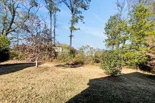 172 Daisy Cir, McDonough, GA 30252 - Photo 18