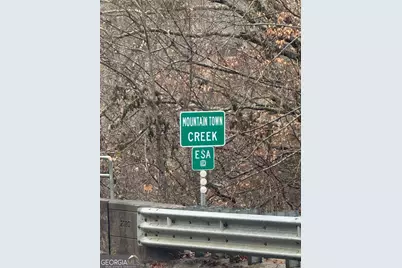 0 W Mountaintown Trail, Ellijay, GA 30540 - Photo 4