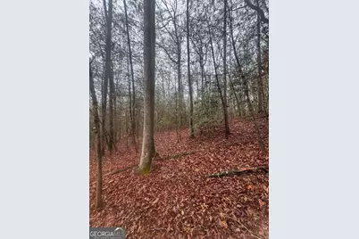 0 W Mountaintown Trail, Ellijay, GA 30540 - Photo 1