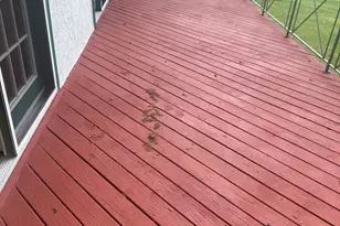 2316 Emerald Dr, Jonesboro, GA 30236 - Photo 14