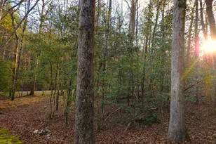 167 Happy Valley Ln, Morganton, GA 30560 - Photo 98