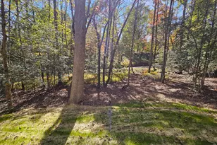 167 Happy Valley Ln, Morganton, GA 30560 - Photo 86