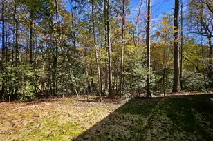 167 Happy Valley Ln, Morganton, GA 30560 - Photo 82