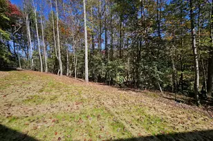 167 Happy Valley Ln, Morganton, GA 30560 - Photo 92