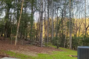 167 Happy Valley Ln, Morganton, GA 30560 - Photo 74