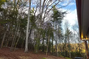 167 Happy Valley Ln, Morganton, GA 30560 - Photo 72