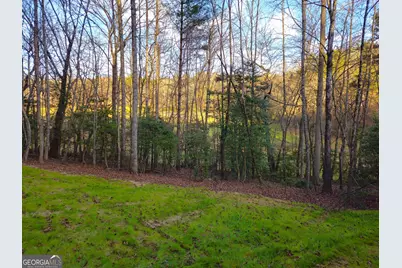 167 Happy Valley Lane, Morganton, GA 30560 - Photo 80