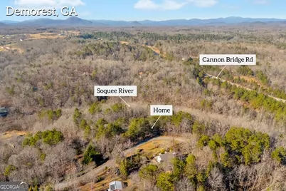 699 Cobblestone Lane, Demorest, GA 30535 - Photo 66