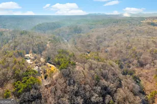 699 Cobblestone Ln, Demorest, GA 30535 - Photo 78