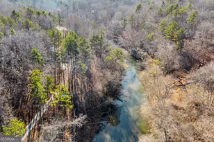 699 Cobblestone Ln, Demorest, GA 30535 - Photo 74