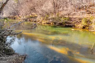 699 Cobblestone Ln, Demorest, GA 30535 - Photo 76