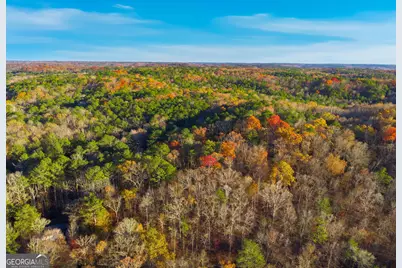 10220 Rivertown Road, Chattahoochee Hills, GA 30213 - Photo 2