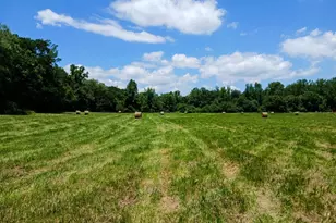 308 Idle Acres Ln, Lavonia, GA 30553 - Photo 14