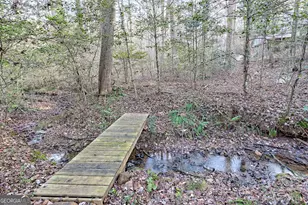 341 Brookwood Ln, Clarkesville, GA 30523 - Photo 66