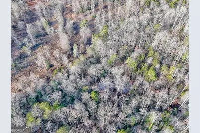 341 Brookwood Lane, Clarkesville, GA 30523 - Photo 78