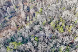 341 Brookwood Ln, Clarkesville, GA 30523 - Photo 78