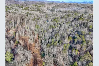 341 Brookwood Lane, Clarkesville, GA 30523 - Photo 86