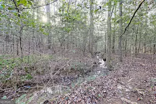 341 Brookwood Ln, Clarkesville, GA 30523 - Photo 68