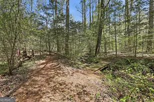 341 Brookwood Ln, Clarkesville, GA 30523 - Photo 8