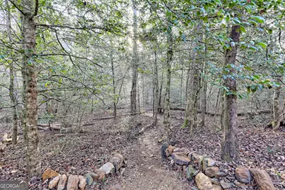 341 Brookwood Lane, Clarkesville, GA 30523 - Photo 70
