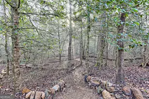 341 Brookwood Ln, Clarkesville, GA 30523 - Photo 70