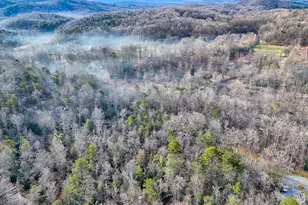 341 Brookwood Ln, Clarkesville, GA 30523 - Photo 74