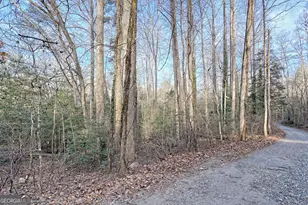 341 Brookwood Ln, Clarkesville, GA 30523 - Photo 62