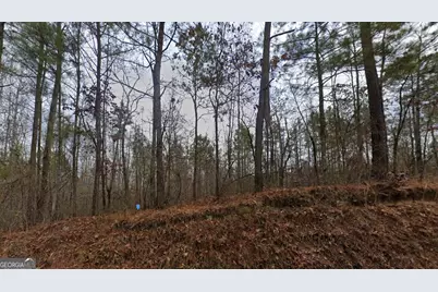 7720 Tyree Road, Winston, GA 30187 - Photo 2