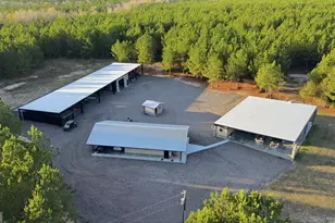 120 St Galilee Rd, Midville, GA 30441 - Photo 2