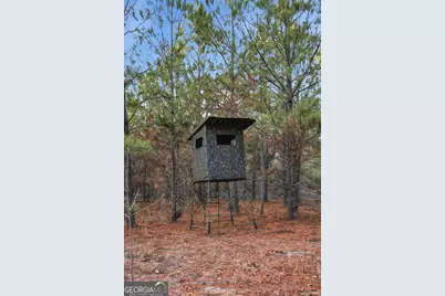 120 Saint Galilee Road, Midville, GA 30441 - Photo 66