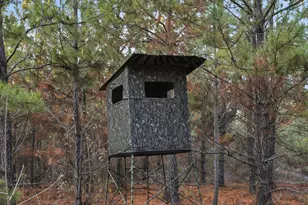 120 St Galilee Rd, Midville, GA 30441 - Photo 66