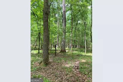 310 Philomath Woodville Road, Rayle, GA 30660 - Photo 2