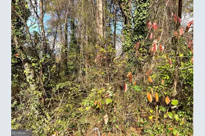 0 Jonesboro Road, Morrow, GA 30260 - Photo 1