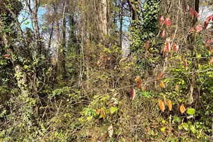 0 Jonesboro Rd, Morrow, GA 30260 - Photo 1