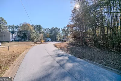 55 Corn Row Court, Newnan, GA 30263 - Photo 6