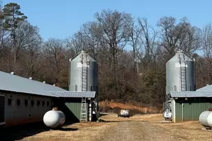 319 Hunters Creek Rd, Toccoa, GA 30577 - Photo 6