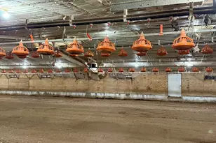 319 Hunters Creek Rd, Toccoa, GA 30577 - Photo 14