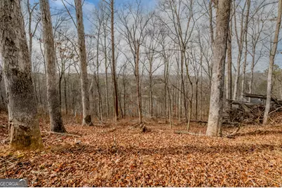0 N Jimmy Drive, Rocky Face, GA 30740 - Photo 18