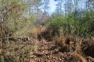 5074 Hwy 255 S, Cleveland, GA 30528 - Photo 50