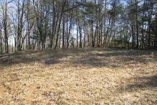 5074 Hwy 255 S, Cleveland, GA 30528 - Photo 2