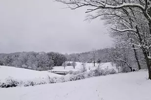 575 Turner Rd, Cleveland, GA 30528 - Photo 18