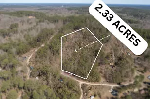 Lot 58 Doe Run, Ellijay, GA 30540 - Photo 1
