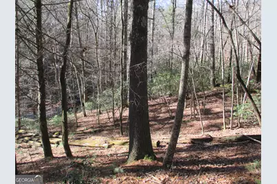 Lot 58 Doe Run, Ellijay, GA 30540 - Photo 16