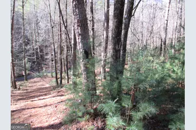 Lot 58 Doe Run, Ellijay, GA 30540 - Photo 12
