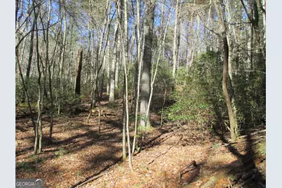 Lot 58 Doe Run, Ellijay, GA 30540 - Photo 18