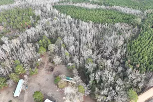 1500 Mallard Rd, Cobbtown, GA 30420 - Photo 6