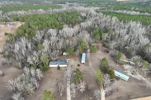 1500 Mallard Rd, Cobbtown, GA 30420 - Photo 2