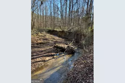 265 Griffin Road, Martin, GA 30557 - Photo 20